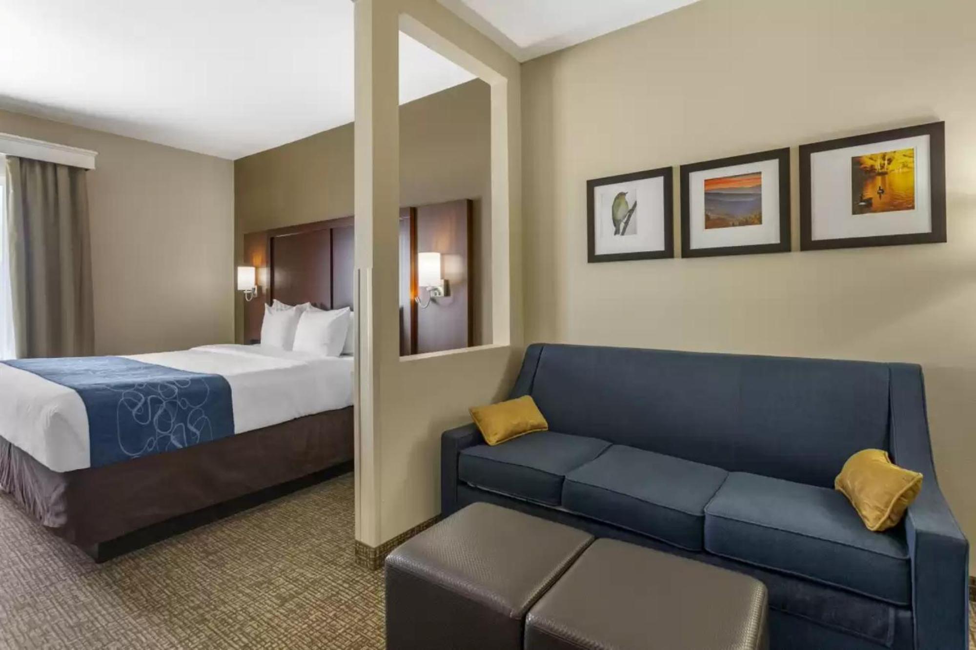 Comfort Suites At Rivergate Mall Goodlettsville Exteriör bild
